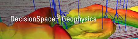 DecisionSpace® Geophysics