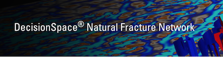 DecisionSpace® Natural Fracture Network
